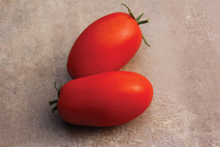 Tomato, Roma Supremo Hybrid