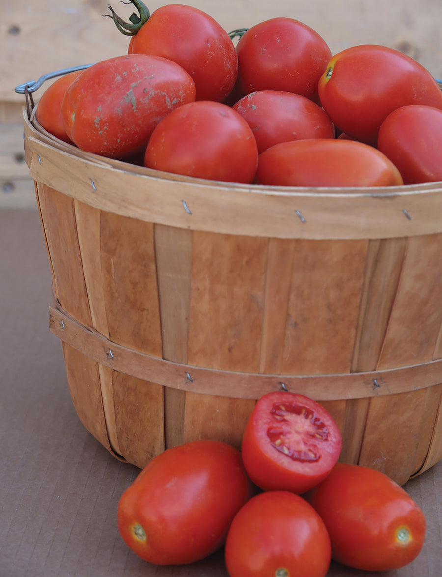 Tomatoes, Plum Regal Hybrid