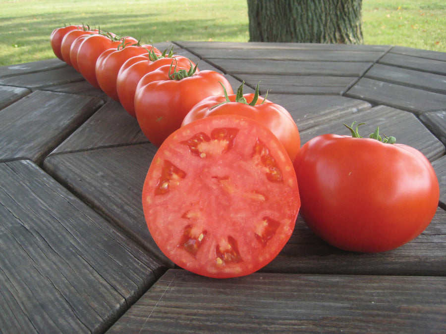 Tomatoes, Mountain Merit Hybrid Organic