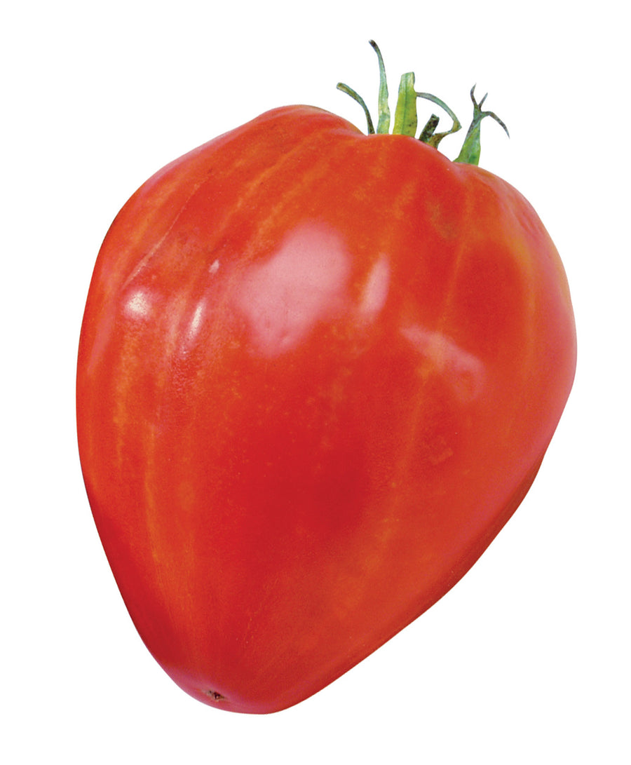 Tomato, Cuor Di Bue