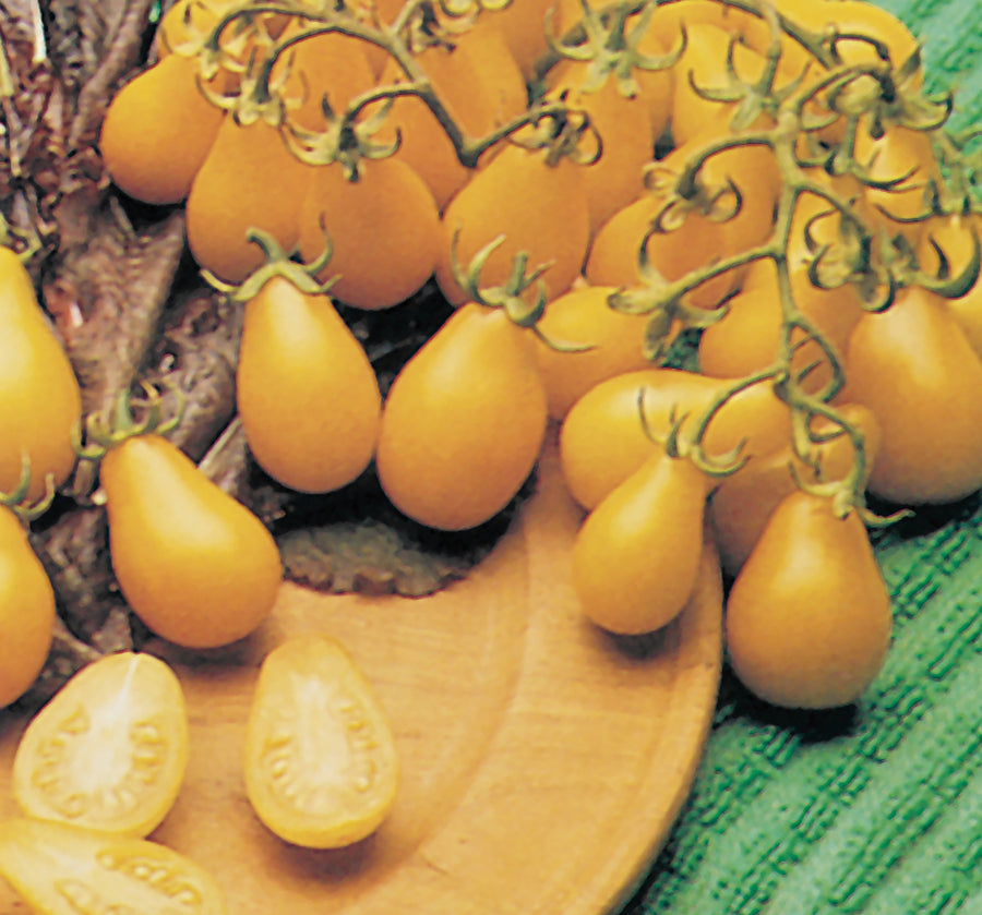 Tomatoes, Yellow Pear Organic  :SE