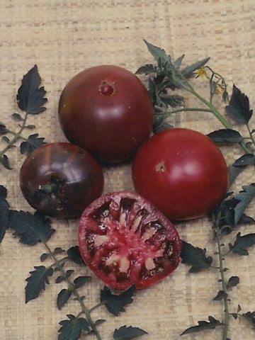 Tomatoes, Black Krim Organic :SE