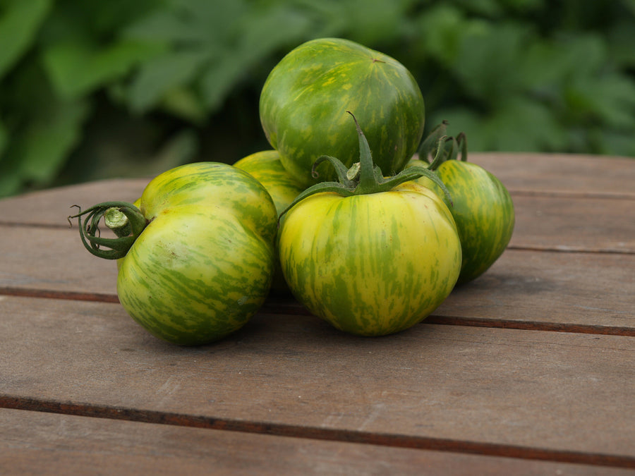 Tomatoes, Green Zebra Organic:SE
