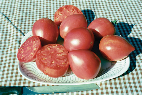 Tomatoes, Grightmires Pride
