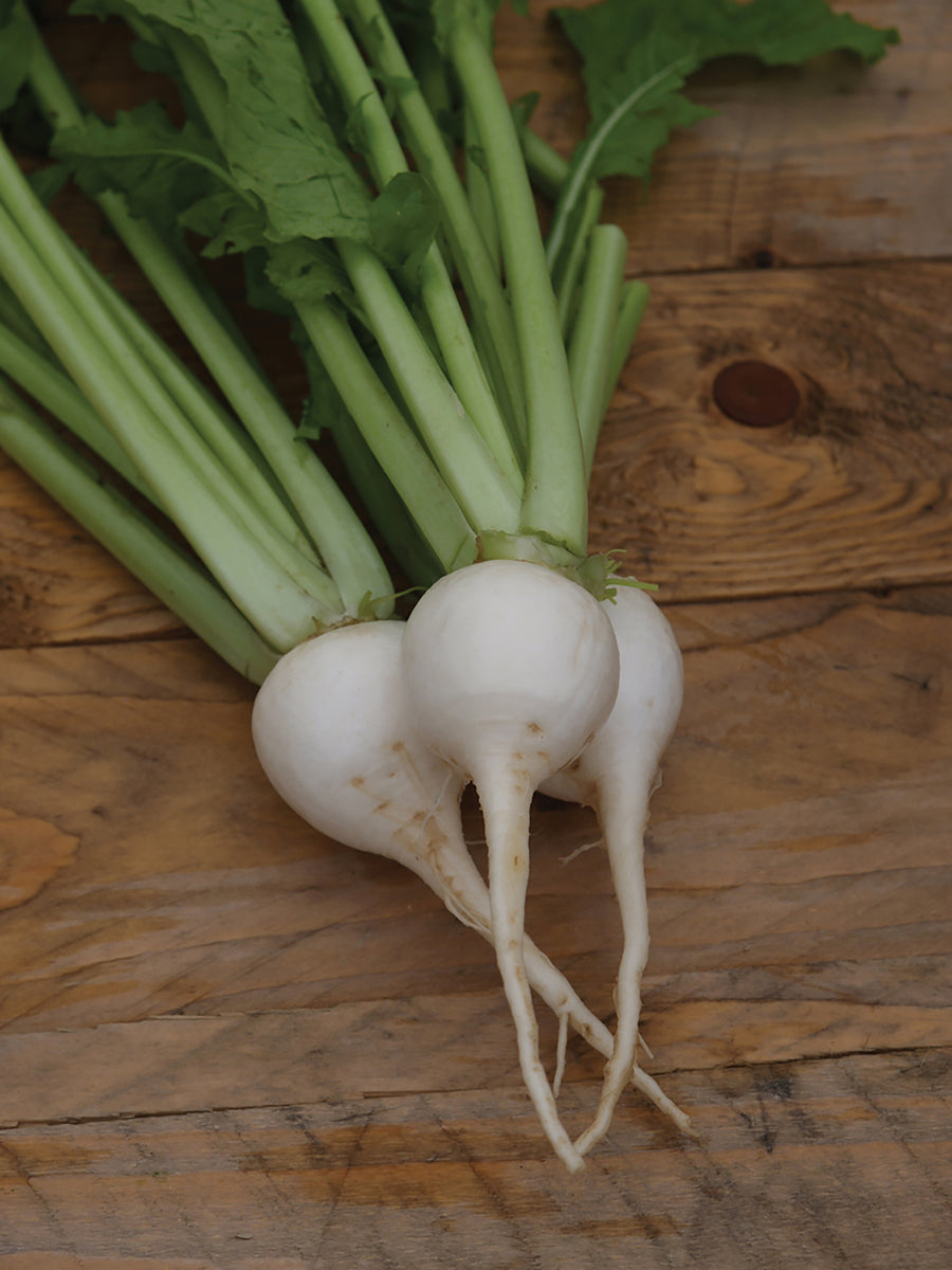 Turnips, Just Right Hybrid