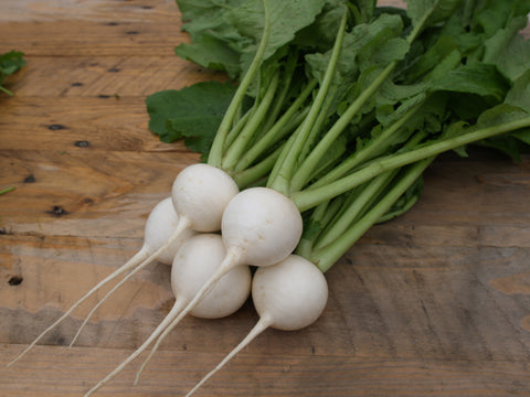Turnips, White Lady Hybrid
