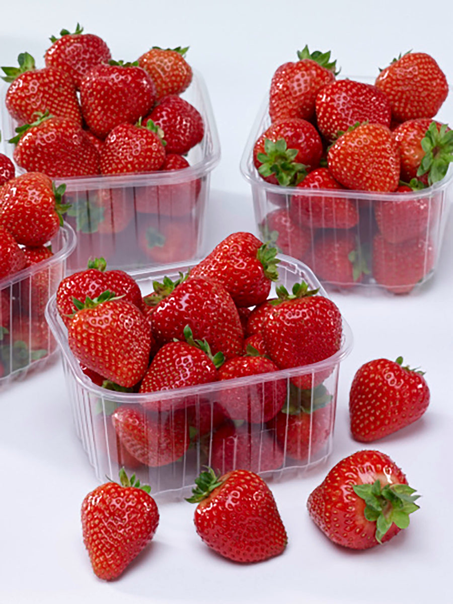 Strawberries, Rowena Hybrid