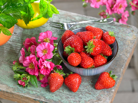 Strawberries, Summer Breeze Cherry:CF