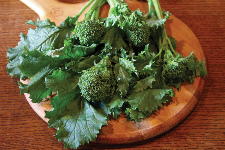 Rapini, Sorrento