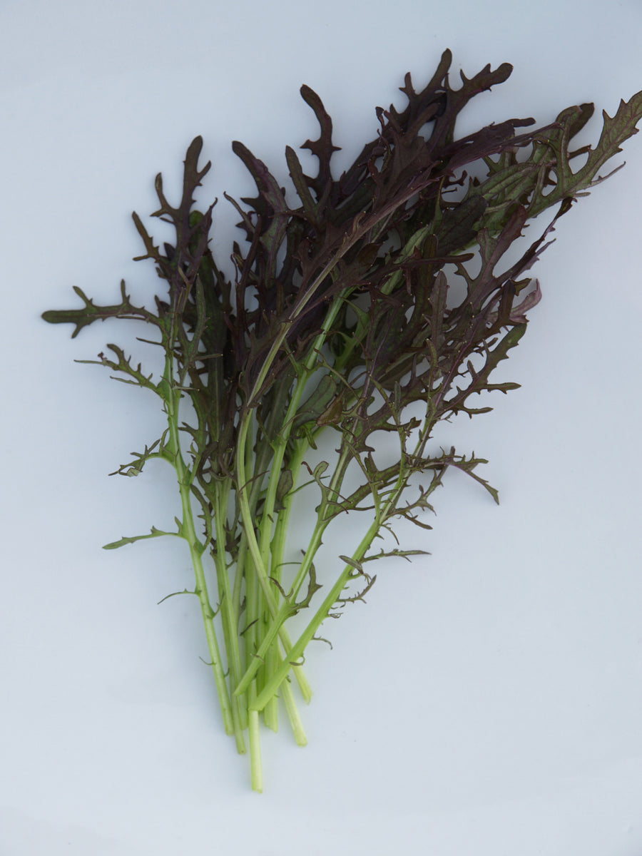 Greens, Red Frills Organic - CF