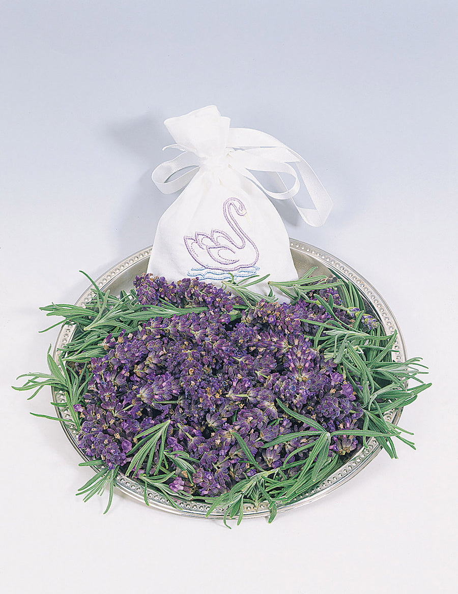 Lavender, Hidcote Blue APEX