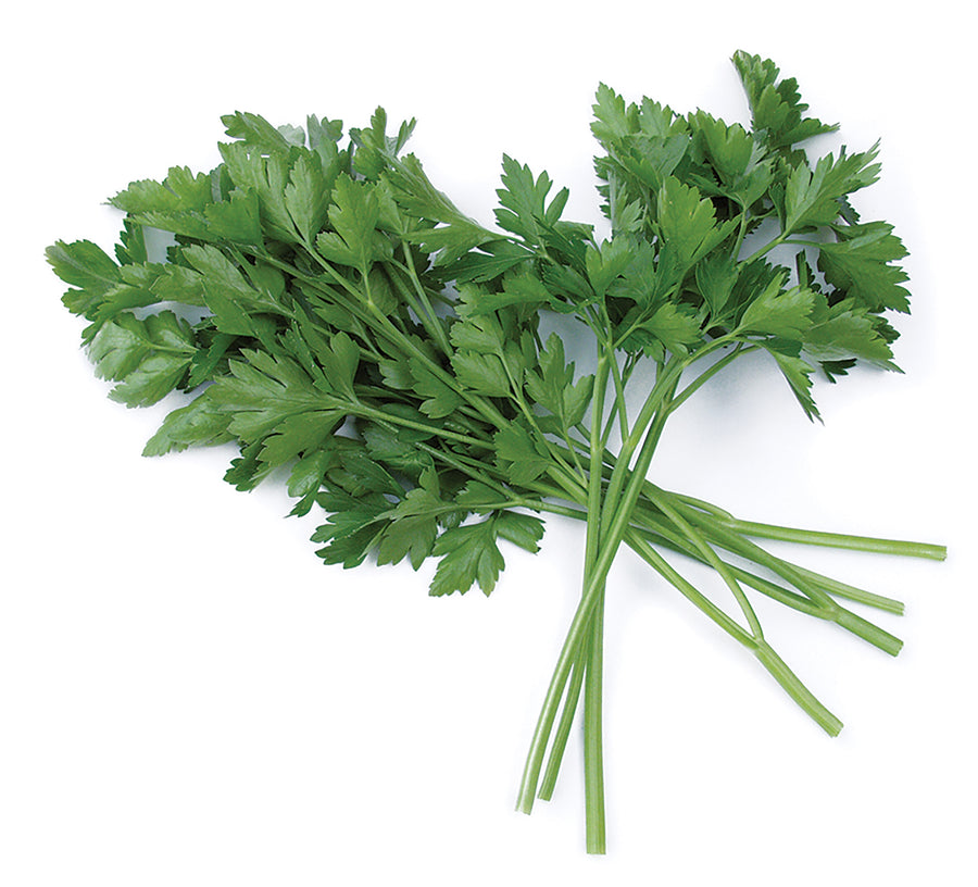 Parsley, Laica Organic