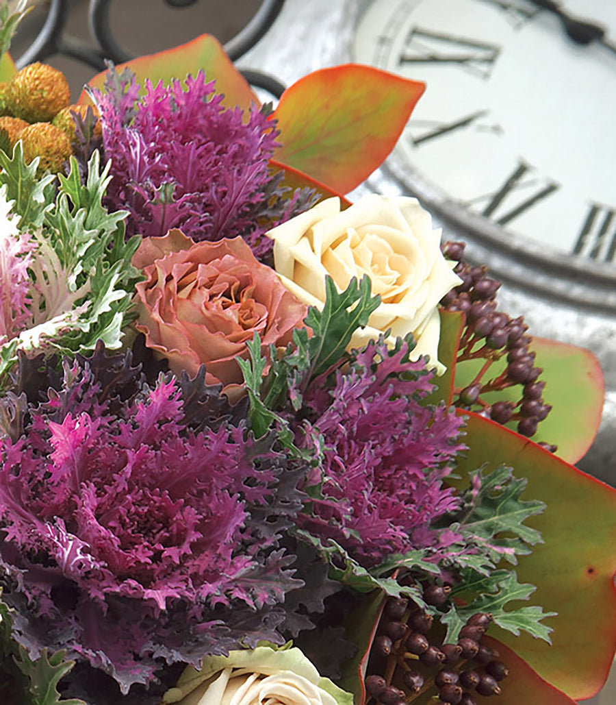 Flowering Kale, Crane Feather Red