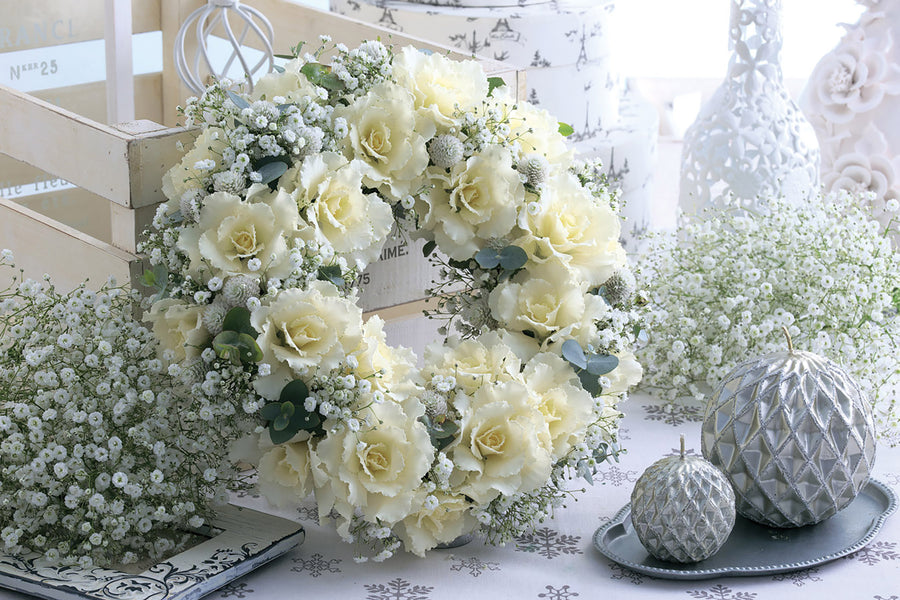 Flowering Kale, Flare White