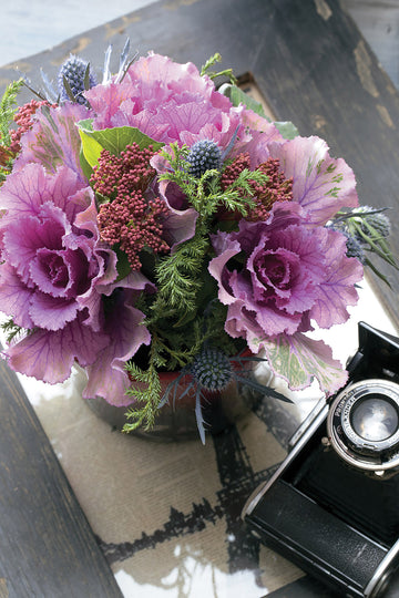 Flowering Kale, Flare Rose