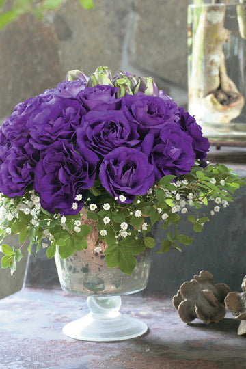 Lisianthus, Arena Purple