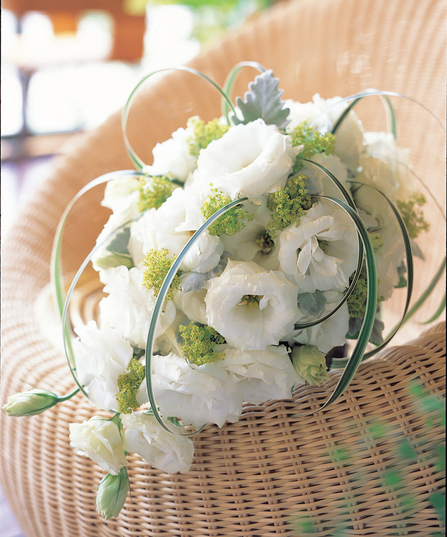 Lisianthus, Arena White