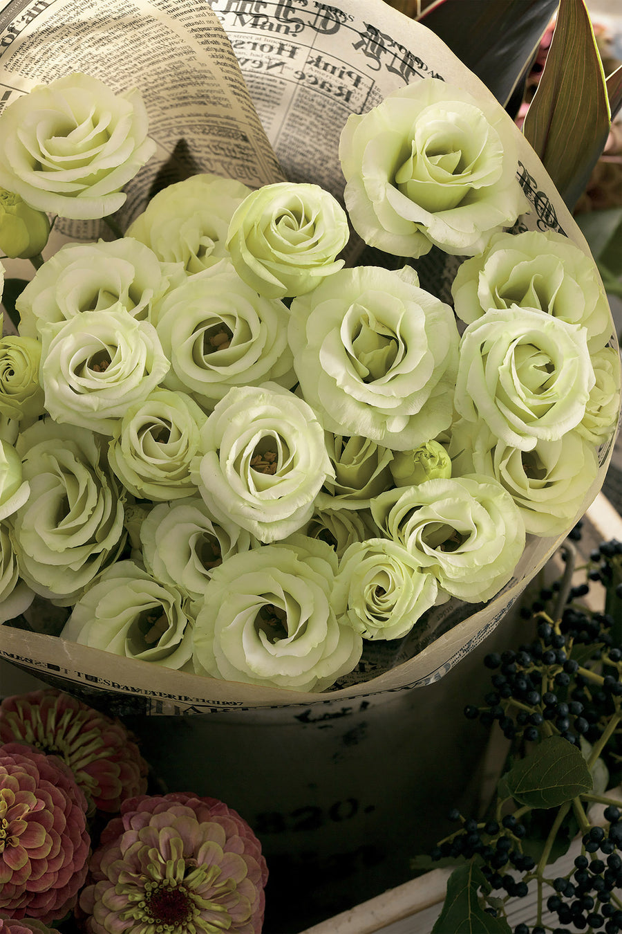 Lisianthus, Croma Green