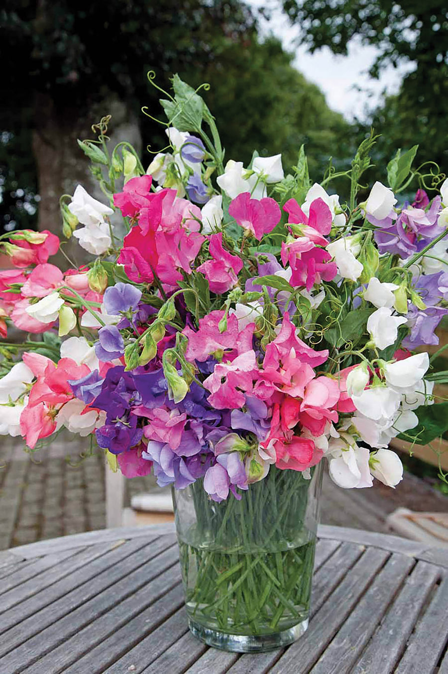 Sweet Peas, Bijou Mix