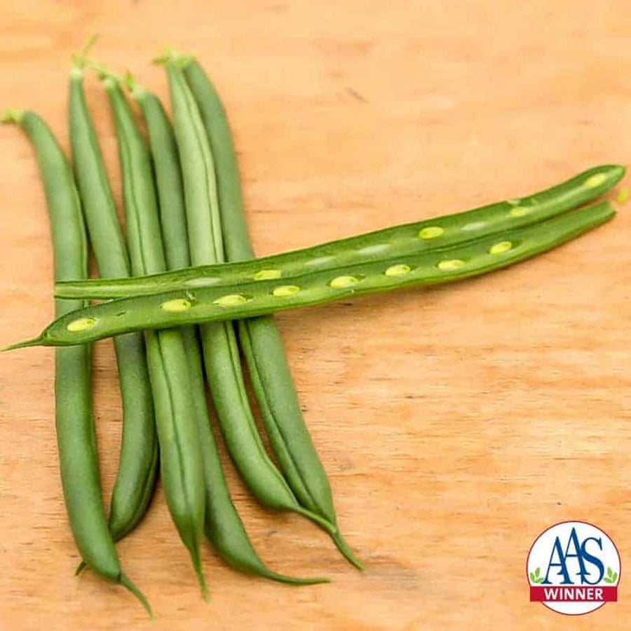 Pole Bean, Seychelles Organic