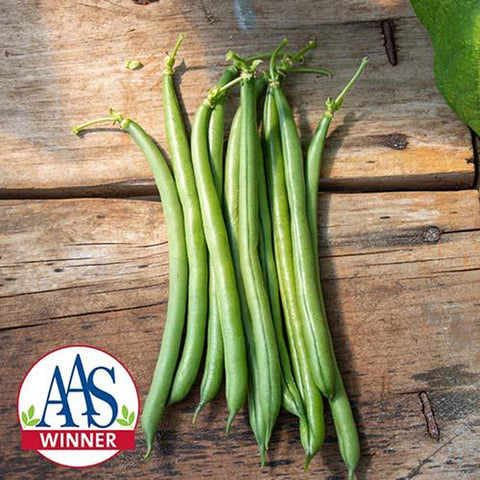 Pole Bean, Seychelles Organic