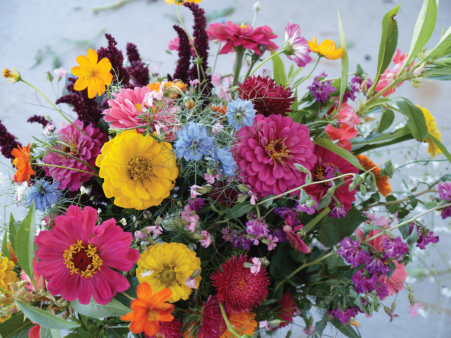 Flower Mixes, Cutflower Mix