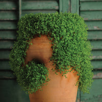 7451C_200x200_crop_center.jpg?