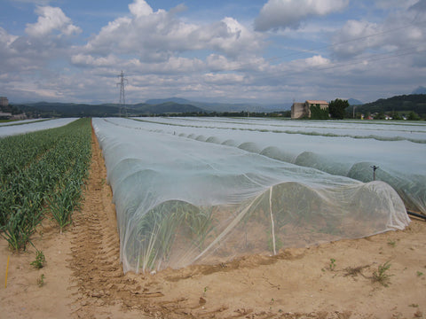 Netting, Insect Netting 14' x 820'