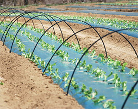 Row Covers, PVC Hoops