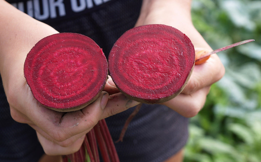 Beets, Detroit Supreme