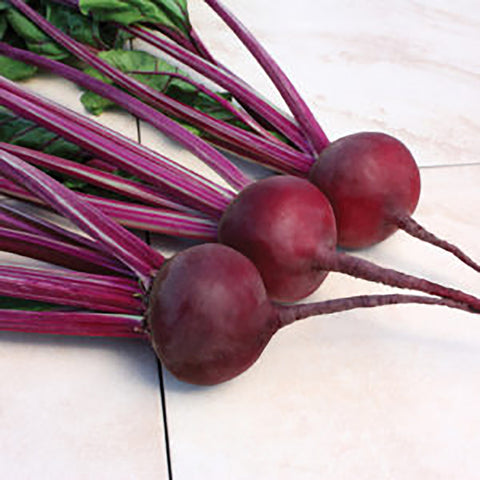 Strained Beets Beets – William Dam Seeds