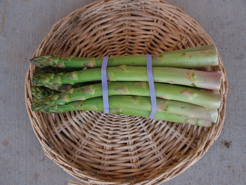 Asparagus Roots, Millennium Hybrid
