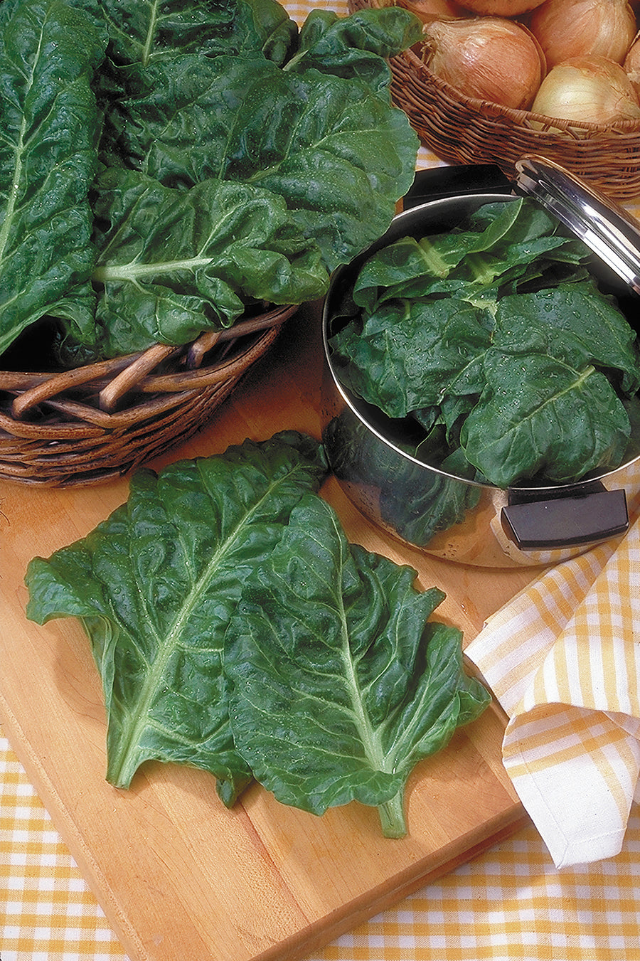 Swiss Chard, Green Perpetual
