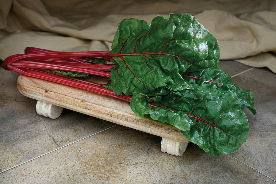 Swiss Chard, Fire Fresh Hybrid