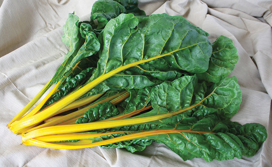 Swiss Chard, Eldorado