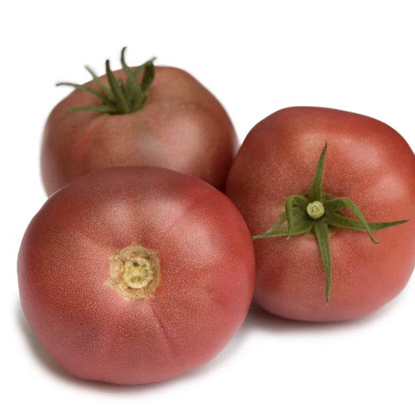 Tomatoes, Purple Boy  Hybrid